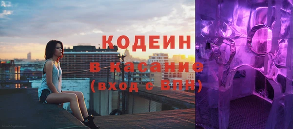 индика Горнозаводск