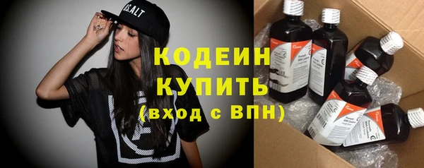 индика Горнозаводск