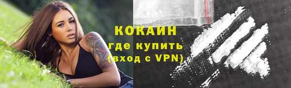 индика Горнозаводск