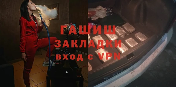 индика Горнозаводск