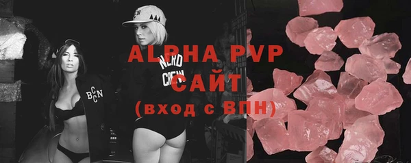 индика Горнозаводск