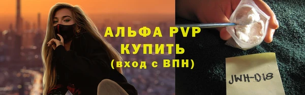 индика Горнозаводск