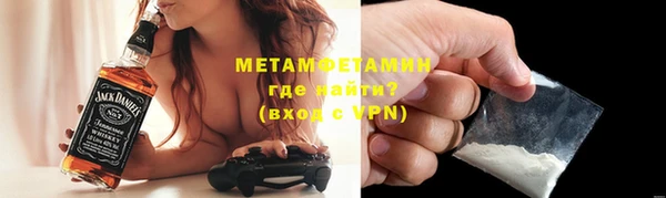 индика Горнозаводск