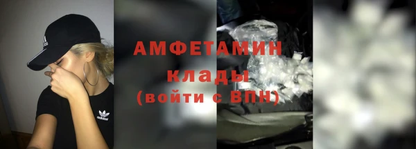 индика Горнозаводск