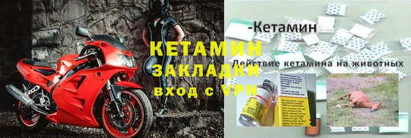 индика Горнозаводск