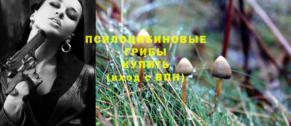 индика Горнозаводск