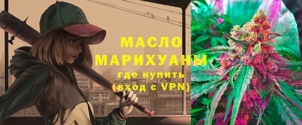 индика Горнозаводск