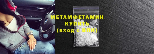 индика Горнозаводск