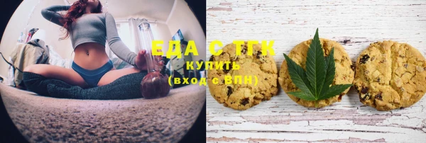 индика Горнозаводск