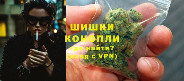 индика Горнозаводск
